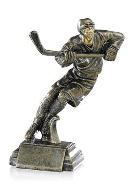 Trophée Hockey 3852576