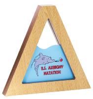 Trophée Triangle